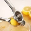 1pc Stainless Steel Manual Juicer | Kitchen Essential